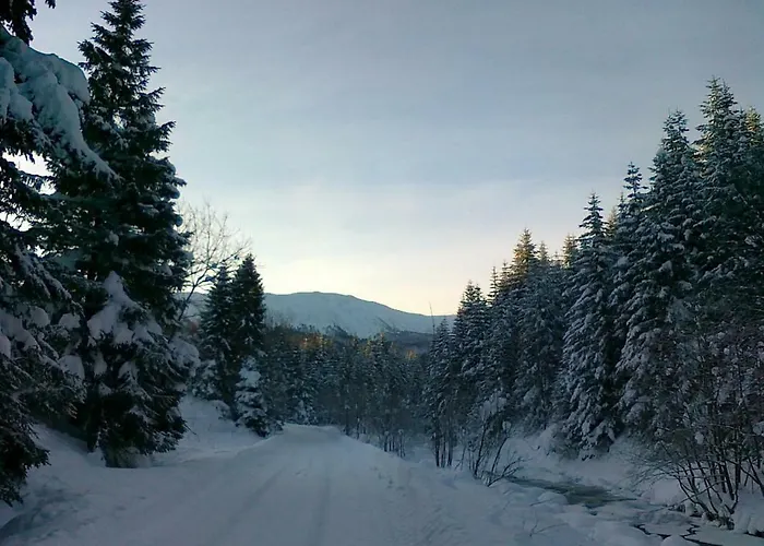 Zawojka בית אירוח זאבוייה