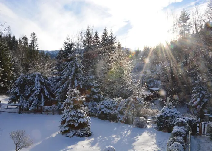 Zawojka * זאבוייה